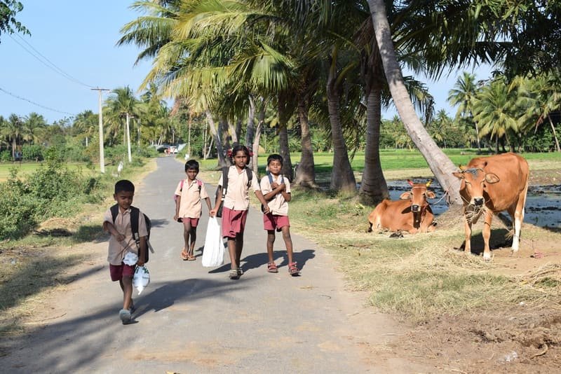 Immersion culturelle au Kerala et Karnataka — photo 6