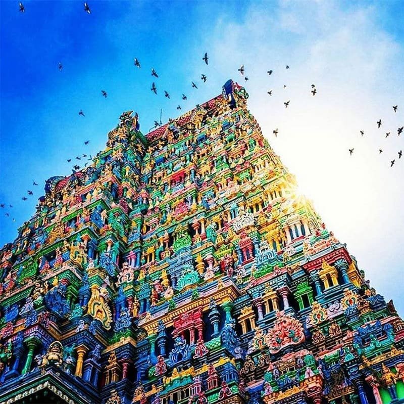 Le Souffle du Sud : Voyage Transformateur en Inde — photo 4